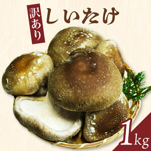 yӂ邳Ɣ[Łzy󂠂z1kg@͂F2024N11{`2025N5{܂