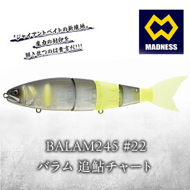 【ふるさと納税】BALAM245 #22 バラム 追鮎チャート〈マドネス、ビックベイト、スイムベイト、ジャイアントベイト、釣り、バス釣り、ルアー、釣り具、スポーツ〉雑貨 日用品　お届け：お盆および年末年始休暇除く