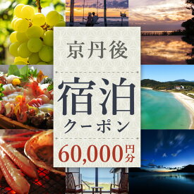 【ふるさと納税】【京丹後市観光公社】京丹後宿泊クーポン 5枚（60000円 分）2年間有効 海の 京都 旅行券 京丹後市内の宿泊施設で使える 宿泊券 チケット クーポン 旅行クーポン 旅行 宿泊 旅 お祝い ギフト 引き出物 夕日ヶ浦温泉 天橋立 城崎温泉 伊根 も近い トラベル