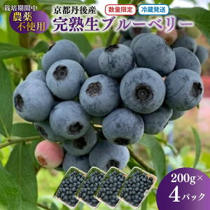 �y�ӂ邳�Ɣ[�Łz�y��s�\��^���ʌ���40�z���n�u���[�x���[ ���� 200g×4�p�b�N�i�͔|���Ԓ��_��E���w�엿�E�����ܕs�g�p�j�i2026�N7����{�`�����j �u���[�x���[ ���[�c �ʕ� �A���g�V�A