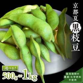 【ふるさと納税】【先行予約】京都・夏黒枝豆さや 500g（250g×2パック）1kg（250g×4パック）（2026年7月中旬～発送） 野菜 豆類 黒豆 黒枝豆 晩酌 おつまみ おかず 京都 ふるさと納税 枝豆