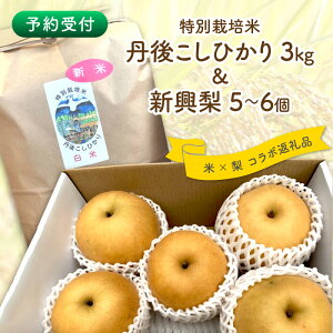 �y�ӂ邳�Ɣ[�Łz�y�\���t�z���ʍ͔|�ĒO�ケ���Ђ���3kg���V����5�`6�i2026�N10����{�`�����j ���Y �R���{ �� �R�� �ʕ� �t���[�c �V���� �� �i�V �Z�b�g �l�ߍ��킹 ��s�\�� ���Y�҉�