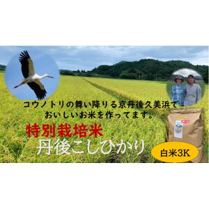 yӂ邳Ɣ[Łzys\zߘa7NY@OケЂ@3kg@yʍ͔|āzV    3L    ߘa7N ӂ邳Ɣ[ RVqJ