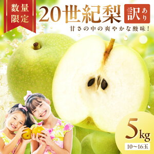 yӂ邳Ɣ[Łzys\^ʌ700z20Ii󂠂j 5kgi10`16ʁji2026N8{`j Y ӂ邳 [  ӂ邳 [ s\ Ԍ ӂ邳 [ 󂠂 KiO 