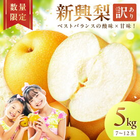 【ふるさと納税】【先行予約／数量限定700】新興梨（訳あり） 5kg （7～12玉）（2026年9月下旬～発送） 国産 ふるさと 納税 梨 なし ナシ ふるさと 納税 期間限定 ふるさと 納税 訳あり 規格外 ふるさと 納税 フルーツ くだもの 果物 傷 赤梨