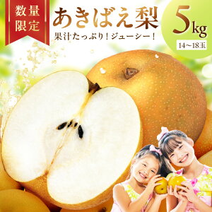 �y�ӂ邳�Ɣ[�Łz���]����4.67 �����r���[�� �y��s�\��^���ʌ���200�z���O��Y �����΂��� 5kg�i14�`18�ʁj�i2026�N8�����{�`�����j �ӂ邳�� �[�� �� �Ȃ� �i�V �ӂ邳�� �[�� ��s�\�� ����