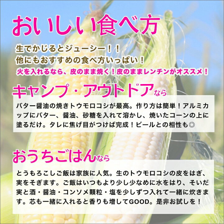 とうもろこし 数量限定 生で食べる 甘い 野菜 フルーツ ゴールド 10本 新鮮 シャインホワイト トウモロコシ コーン 先行予約