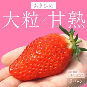 yӂ邳Ɣ[Łzy2026NzyOY͕Pz_ցIVN嗱 2pbN Mtg^kEY Y 嗱 Ђ Â 炩 ӂ邳Ɣ[  C`S  
