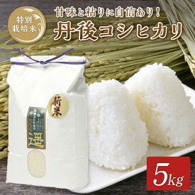 【ふるさと納税】令和5年度産　丹後うらら米　丹後コシヒカリ　5kg 米 お米 こしひかり コシヒカリ 5キロ ふるさと納税 京丹後市