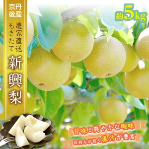 �y�ӂ邳�Ɣ[�Łz�y��s�\��^���ʌ���50�z���s�O��Y �V���� 5kg�i2026�N10�����{�`�����j ���Y �ӂ邳�� �[�� �� �Ȃ� �i�V 5kg �ӂ邳�� �[�� ��s�\�� ���Ԍ��� �ӂ邳�� �[�� �V�� �ԗ� ��