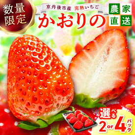 【ふるさと納税】【先行予約／数量限定】京都丹後産 完熟いちご（かおりの） 2パック 4パック（2026年3月中旬～発送） 農家直送 イチゴ 苺 ふるさと納税 先行予約 期間限定 ふるさと納税 フルーツ くだもの 果物 先行申込 ストロベリー