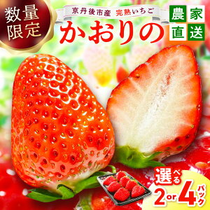 yӂ邳Ɣ[Łzys\^ʌzsOY níj 2pbN 4pbNi2026N3{`j _ƒ C`S  ӂ邳Ɣ[ s\ Ԍ ӂ邳Ɣ[ t