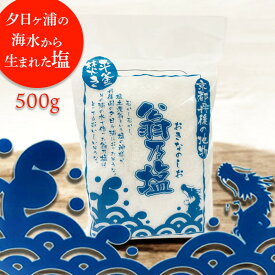 【ふるさと納税】高評価★5.0 高レビュー★ 翁乃塩　500g　しお シオ 調味料 料理 生産者応援 送料無料