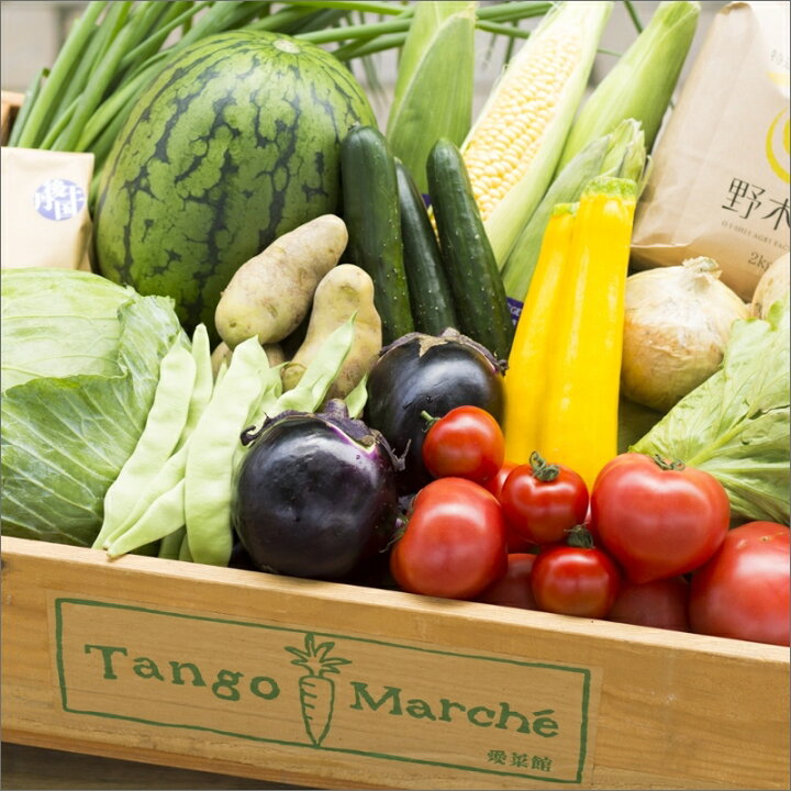 0円 59%以上節約 ふるさと納税 京都府福知山産 旬のお野菜詰め合わせセット 京都府福知山市 0円 59%以上節約 ふるさと納税 京都府福知山産 旬のお野菜詰め合わせセット 京都府福知山市