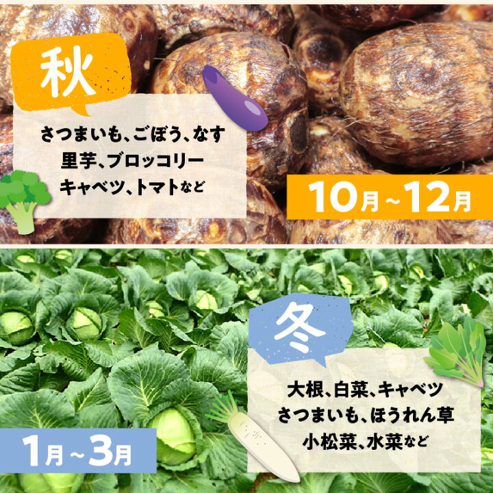楽天市場】【ふるさと納税】京丹後産・旬の野菜 5〜8種詰め合わせ(小) 6ヶ月 お野菜 野菜 セット 詰め合わせ 季節もの 厳選 新鮮 詰め合わせセット サラダ 詰合わせ お試し 京丹後 献立 とれたて 旬 定期便 毎月 うれしい 春 夏 秋 冬 6回 ふるさと納税 野菜 定期便 ... 楽天市場】【ふるさと納税】京丹後産・旬の野菜 5〜8種詰め合わせ(小) 6ヶ月 お野菜 野菜 セット 詰め合わせ 季節もの 厳選 新鮮 詰め合わせセット サラダ 詰合わせ お試し 京丹後 献立 とれたて 旬 定期便 毎月 うれしい 春 夏 秋 冬 6回 ふるさと納税 野菜 定期便 ...