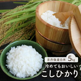 【ふるさと納税】【令和7年産】／京都・京丹後産コシヒカリ 5kg 5キロ 1袋 お米 ごはん ご飯 コシヒカリ こしひかり おにぎり 精米 白米 ふるさと納税 米