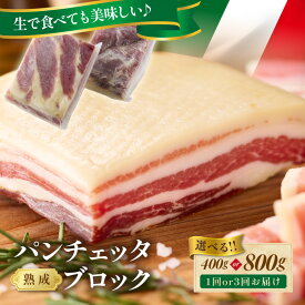 【ふるさと納税】人気急上昇／パンチェッタブロック（豚バラ肉の塩漬け） 約200g×2袋 約200g×4袋 1回 3回定期便 毎月 隔月 ふるさと納税 豚肉 塩漬け ふるさと納税 ベーコン ふるさと納税 パンチェッタ 豚バラ 塩漬け スペイン料理