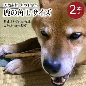 �y�ӂ邳�Ɣ[�Łz���̊p�iL�T�C�Y×2�{�j���s�O��Y �y�b�g���p����� �h�b�O�K�� ���̊p �y�b�g �� ����� �y�b�g�O�b�c ���J�� L�T�C�Y 2�{ ���L�\�h �K�� �f���^���P�A ���� ���L �{�[�� 