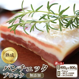【ふるさと納税】パンチェッタブロック（豚バラ肉の塩漬け） 約200g×2袋 約200g×4袋 1回 3回定期便 毎月 隔月 ふるさと納税 豚肉 塩漬け ふるさと納税 ベーコン ふるさと納税 パンチェッタ 豚バラ 塩漬け スペイン料理