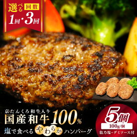 【ふるさと納税】塩で食べるやわらかハンバーグ（デミグラスソース付）1回 3回 ふるさと納税 ハンバーグ ふるさと納税 肉