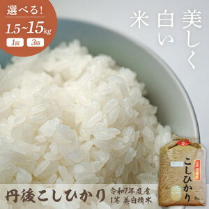 yӂ邳Ɣ[Łzߘa7NY  OケЂ 1 Iׂ  e 3kg 5kg 10kg 1 3  vl Y Yn   ORVqJ ɂ ٓ sY O 