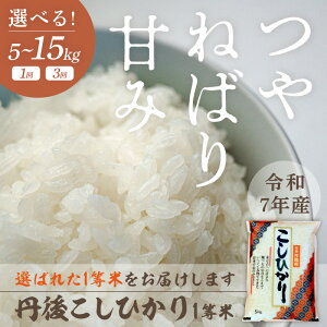 yӂ邳Ɣ[Łzߘa7NY 1 OケЂ Iׂ  e 5kg 10kg 1 3  vl Y Yn   ORVqJ ɂ ٓ sY O Ђ  