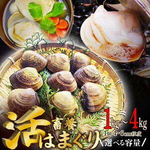 yӂ邳Ɣ[Łz{{͂܂ 1kg 1.5kg 2kg 3kg 4kg Iׂ e   L kt L CN VN L ӂ邳Ɣ[ ͂܂ ӂ邳Ɣ[ n}O ӂ邳Ɣ[    z