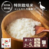楽天市場】丹後 米の通販 