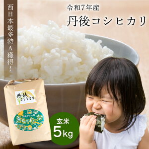yӂ邳Ɣ[Łzߘa7NY^āE]5.0 r[ uߘa7NY@OsY@RVqJv@5kg Iׂ   ӂ邳Ɣ[   A 1 Y 