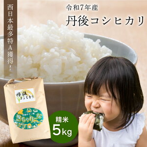 yӂ邳Ɣ[ŁzR7NxāE{ŗL̓Aln恚uߘa7NY@OsY@RVqJv@5kg 1 3 Iׂ    ӂ邳Ɣ[ RVqJ  ӂ邳