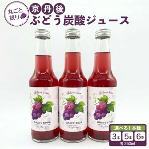 �y�ӂ邳�Ɣ[�Łz���O��̂Ԃǂ��Y�_�W���[�X�i�\�[�_�j �i2025�N9�����{�`�����j�I�ׂ� 3�{���� 5�{���� 6�{����