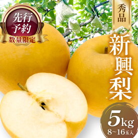 【ふるさと納税】【数量限定50】大きい梨・新興梨 秀品 5kg（8～16玉入り）（2026年10月上旬～発送） 国産 8〜16 個 玉 ふるさと 納税 梨 なし ナシ 5kg ふるさと 納税 先行予約 期間限定 ふるさと 納税 フルーツ くだもの 果物 赤梨 農家直送 ふるさと納税 梨
