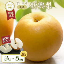 【ふるさと納税】残りわずか／大きな梨・3kg 5kg【訳あり】高レビュー★ 【数量限定100】新興梨 優品 3kg（5～9玉入り） 5kg（8～16玉入り） （2025年10月上旬～発送） 選べる フルーツ 訳あり わけあり ワケアリ ふるさと納税 梨 訳あり 農家応援 生産者応援 送料無料