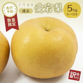 【ふるさと納税】2025年産／残りわずか【訳あり】大きな梨 愛宕梨 優品 5kg（5～12玉入り）（2025年11月下旬～発送）国産 あたご梨 5〜12 個 梨 なし 期間限定 ふるさと 納税 訳あり 規格外 フルーツ くだもの 果物 傷 農家直送 ふるさと納税 梨 訳あり
