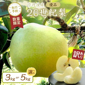 【ふるさと納税】在庫なし／2026年初秋発送【先行予約／数量限定】【訳あり】20世紀梨 優品 （2026年9月上旬～発送） 3kg（7～12玉入り） 5kg（13～20玉入り） 選べる 内容量 国産 7～12 個 13～20 個 玉 なし 二十世紀梨 ふるさと 納税 梨 ふるさと 納税 20世紀梨