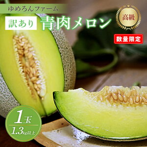 yӂ邳Ɣ[Łzys\^ʌ100z߂t@[̐i󂠂iji2026N6{`j Y ӂ邳 [   1 ӂ邳 [ s\ Ԍ ӂ