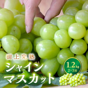 yӂ邳Ɣ[Łzys\^ʌ200z㊮n VC}XJbg 1.2kgi2`3[ji2026N9{`10{j ʕ t[c VC}XJbg }XJbg Ԃǂ ӂ邳