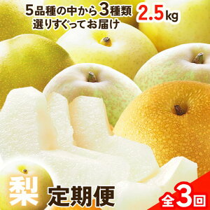 �y�ӂ邳�Ɣ[�Łz�c���a�m���I�u���D������̂��߂̒����3��v�i3�i��i�e��4�`6�ʁj×3��j