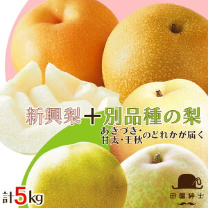 �y�ӂ邳�Ɣ[�Łz�c���a�m���I�u���D������̂��߂̗��Z�b�g�v�V�����Ƃ���1�i��̌v2�i��Z�b�g