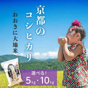 �y�ӂ邳�Ɣ[�Łz�L�@JAS�F�ؕāu�������ɑ�n�āv 5kg 10kg �I�ׂ� ���e�� �ӂ邳�Ɣ[�� ���� �� ���� �R�V�q�J�� �����Ђ��� 5 10 �������� ����