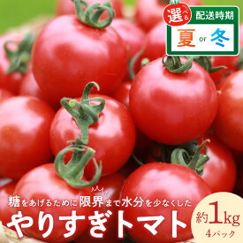【ふるさと納税】選べる夏・冬／高評価★5.0 レビュー【先行予約】やりすぎトマト（4パック計約1kg）夏季 2026年6月上旬以降発送／冬季 2026年12月上旬以降発送 国産 ミニトマト ミディトマト プチトマト フルーツトマト 野菜 とまと 高糖度 甘い 夏野菜 ふるさと納税 トマト
