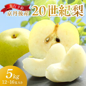 【ふるさと納税】2026年秋発送／【先行予約／数量限定150】京丹後産 20世紀梨 5kg（12～16玉入り）（2026年9月上旬～発送） 国産 期間限定 デザート 甘い ジューシー ふるさと 納税 梨 なし ナシ 5kg ふるさと 納税 先行予約 ふるさと 納税 フルーツ くだもの 青梨