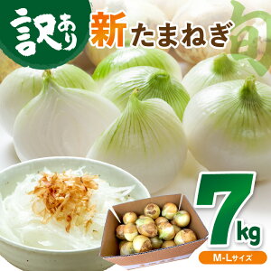 yӂ邳Ɣ[Łz_؍ Vʂ˂^y󂠂z]4.79 V܂˂ 7kg Â VN Y ʂ˂ 7L 30`40 ӂ邳Ɣ[ ܂˂ 󂠂 L 킯 s ӂ낢 ₳