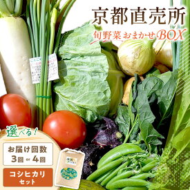 【ふるさと納税】生活応援【訳あり／定期便 】高評価 高レビュー★ 直売所直送 「京都・京丹後産 季節の野菜」お任せ詰め合わせBOX (5品) 春夏秋冬定期便4回 (3品) 定期便3回 コシヒカリ精米 1kg 2kg 京野菜 季節 新鮮 ふるさと納税 野菜・きのこランキング入り 直売所直送