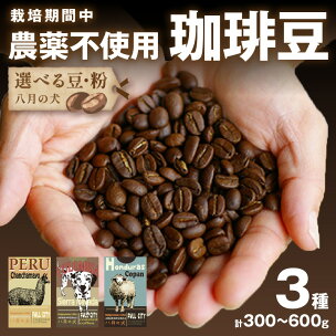 リピーター人気／豆・挽 選べる／高評価★4.71 高レビュ...