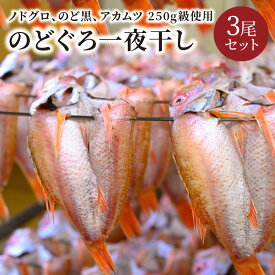 【ふるさと納税】のどぐろ一夜干し　（ノドグロ、アカムツ）　250g級使用　3尾セット 海鮮 魚介 魚介類 のどぐろ アカムツ 一夜干し 250g 3尾 セット やわらかい 冷凍