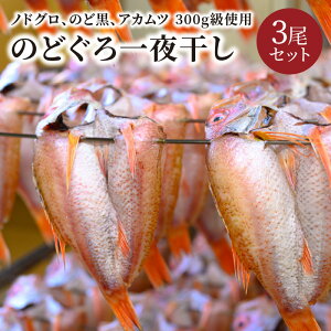 yӂ邳Ɣ[ŁzyCN̏@ẑǂ銱imhOÂǍAAJcj300ggp オ 210gȏ 3Zbg CN  VR Ⓚ  銱 ̂ Ă 