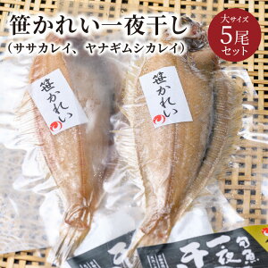 yӂ邳Ɣ[Łzꂢ銱iTTJCAiMVJCjTCY 5Zbg CN   JC 銱 150g` 5 Zbg Ⓚ
