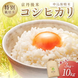 �y�ӂ邳�Ɣ[�Łz�_�e�ʂ��I�ׂ�I�^�����̂��ā� 2025�N�Y ���O��� ���ʍ͔|�ăR�V�q�J�� 3kg 5kg 10kg �����㐸�� �� ���O�� ���ʍ͔|�� �_�ƒ��� �� ���� �ӂ邳�� �[�� �R�V�q�J�� ���� ��