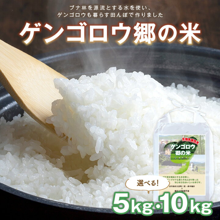 楽天市場】【ふるさと納税】2024年産 京丹後産生物多様性米コシヒカリ 
